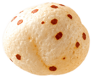 Floating air-roasted lotus seed makhana